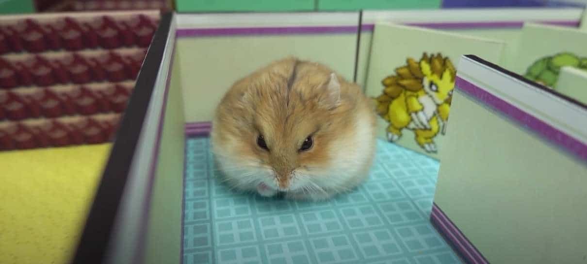 Fã recria cenários de Pokémon Red e Blue em labirinto para hamster