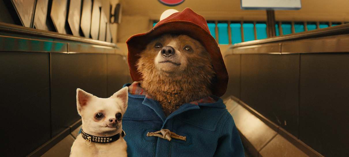 Paddington 3 já está em desenvolvimento