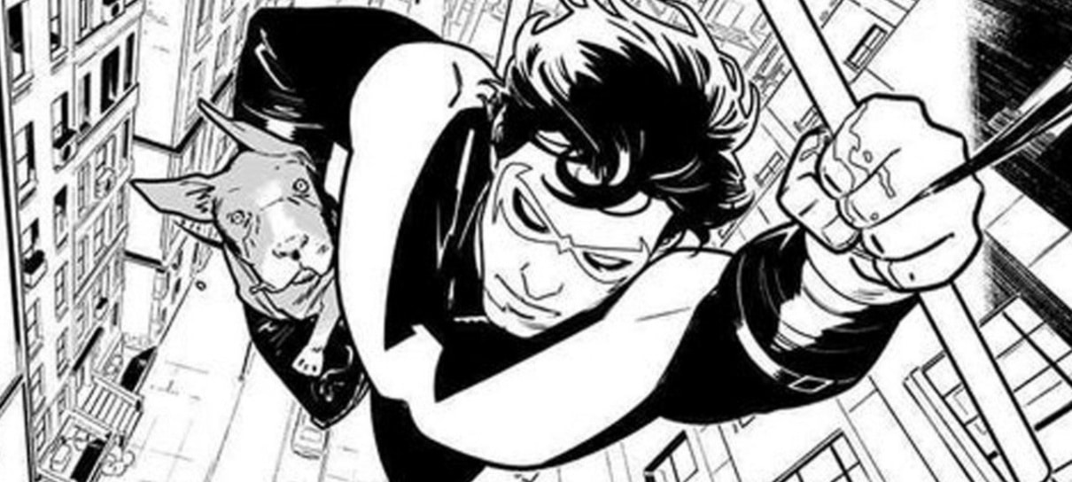 DC faz enquete para os fãs decidirem o nome da nova cachorrinha do Asa Noturna