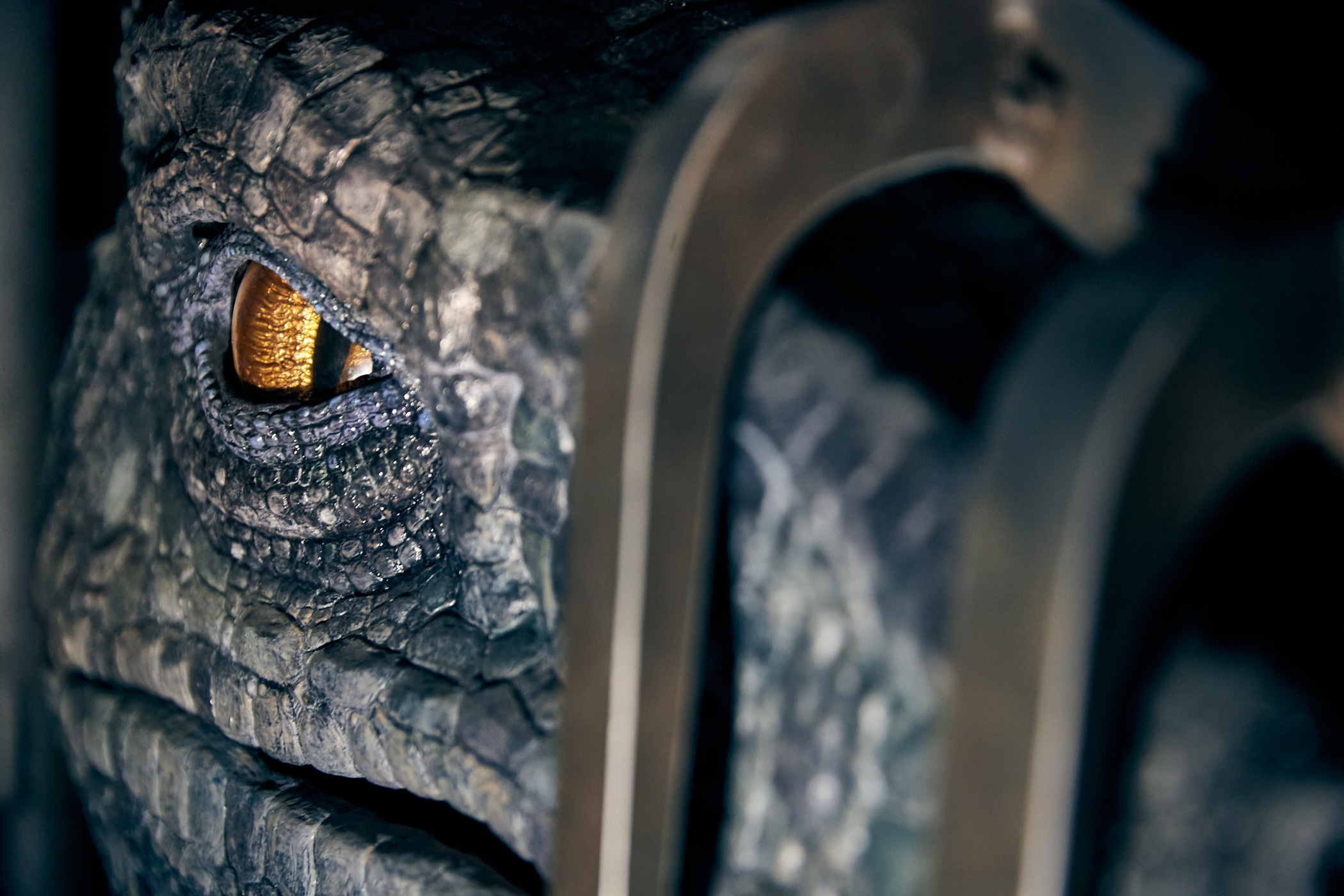 20-47050 P 791
Behind the Scenes
Raptor’s in holding cell
Echo and Delta
Vehicle moving on track
IOA
JP
Jurassic World