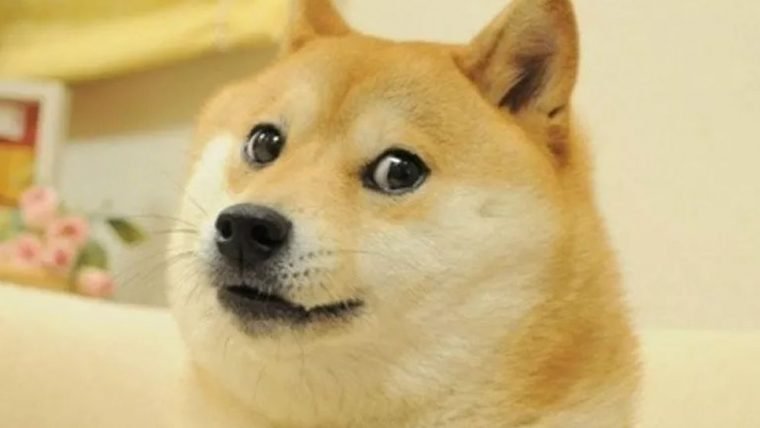 Meme do Doge é vendido por US$ 4 milhões e se torna o meme NFT mais caro do mundo