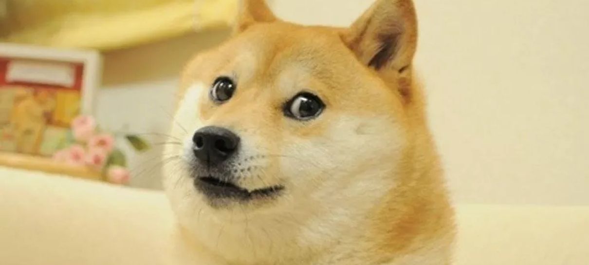 Meme do Doge é vendido por US$ 4 milhões e se torna o meme NFT mais caro do mundo