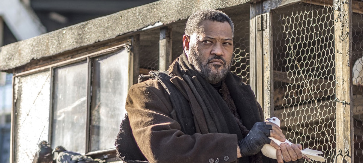 Laurence Fishburne confirma retorno em John Wick 4 e elogia roteiro: “é muito profundo”