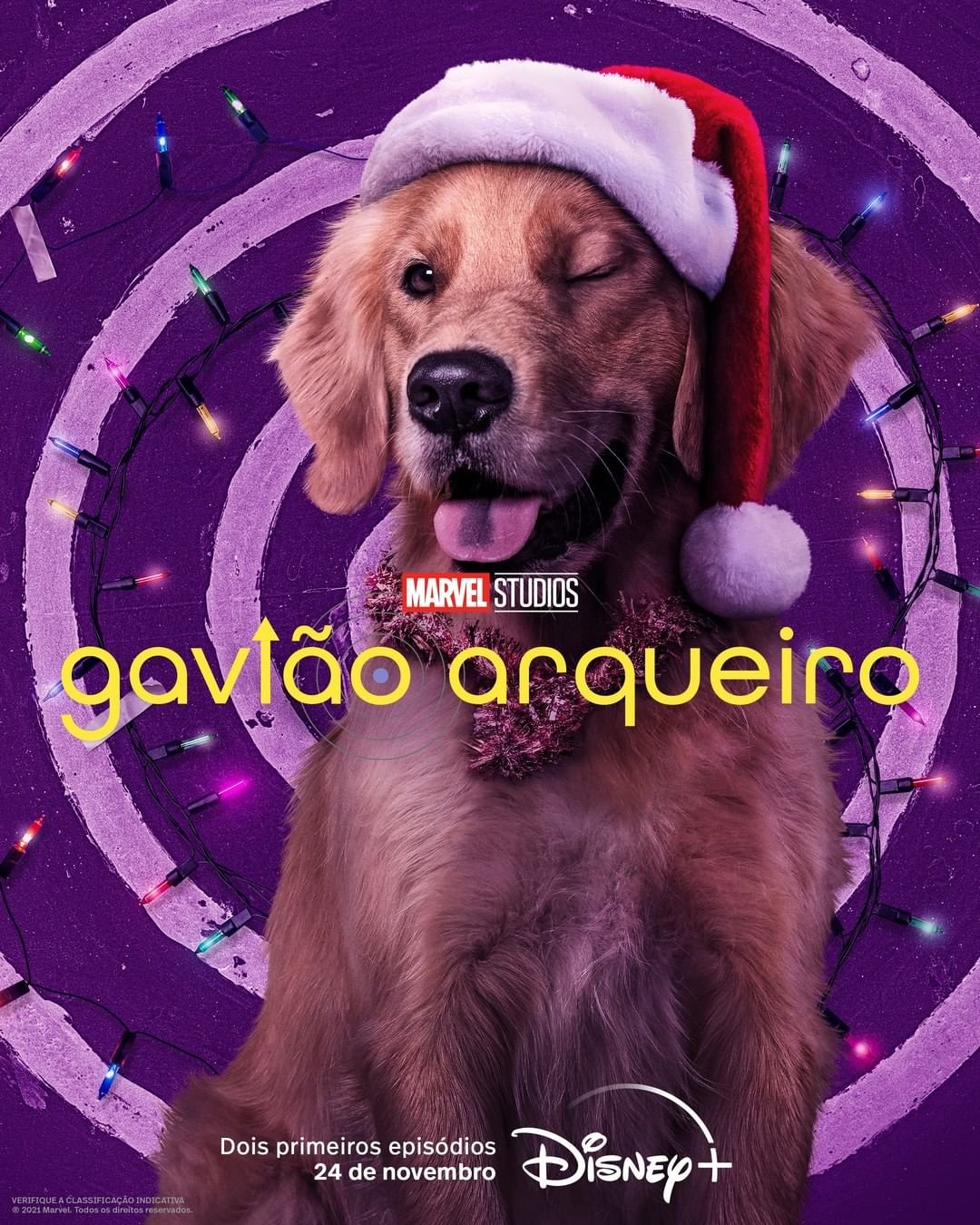 Gavião Arqueiro ganha novos cartazes de personagens, incluindo o cachorro  Sortudo - NerdBunker
