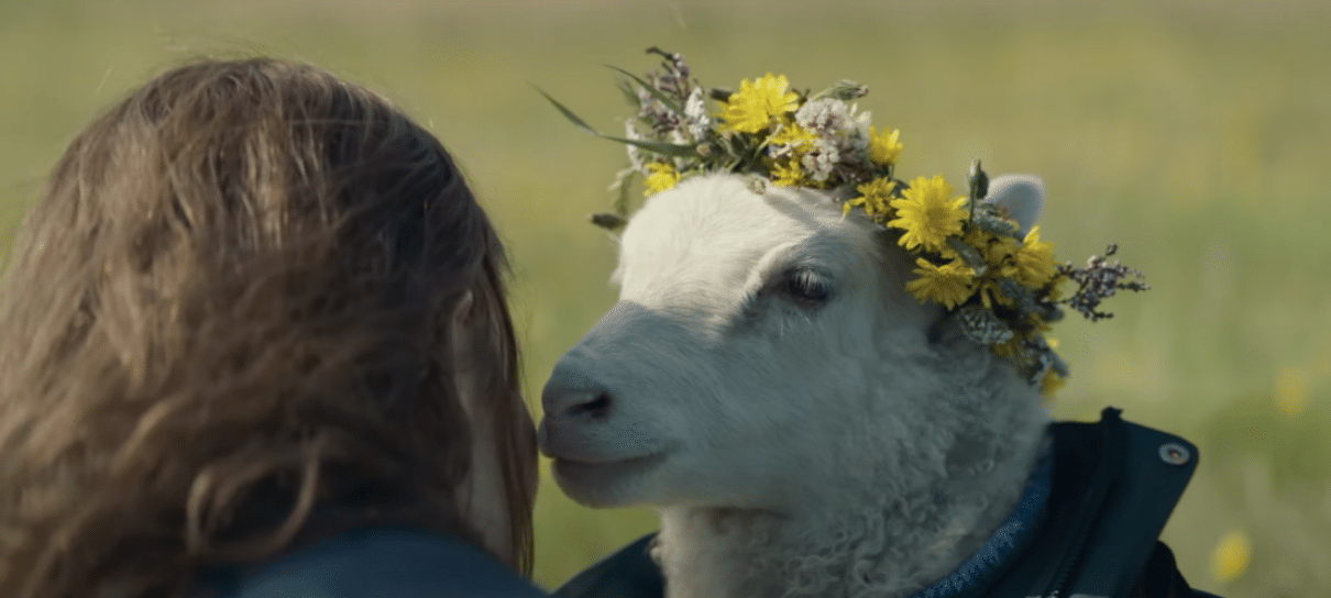 Lamb: Noomi Rapace estrela suspense com carneiros; assista ao trailer