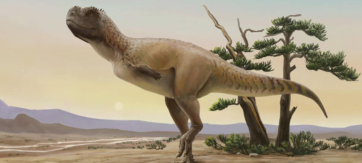 Pesquisadores encontram fóssil inédito de dinossauro carnívoro no interior de SP
