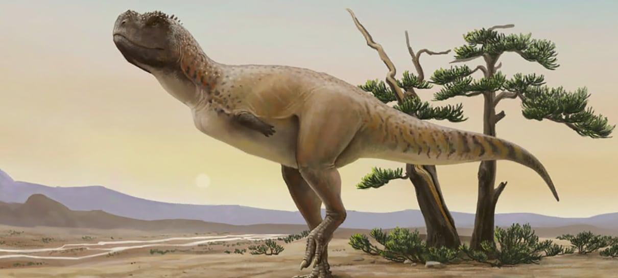 Pesquisadores encontram fóssil inédito de dinossauro carnívoro no interior de SP