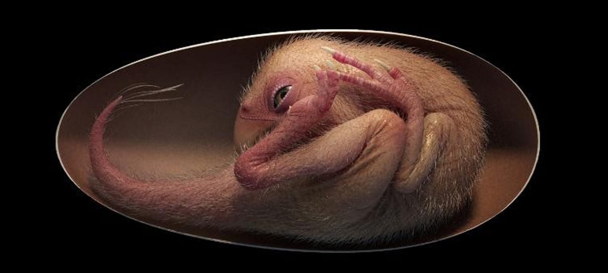 Ovo de "bebê dinossauro" de 66 milhões de anos é encontrado na China
