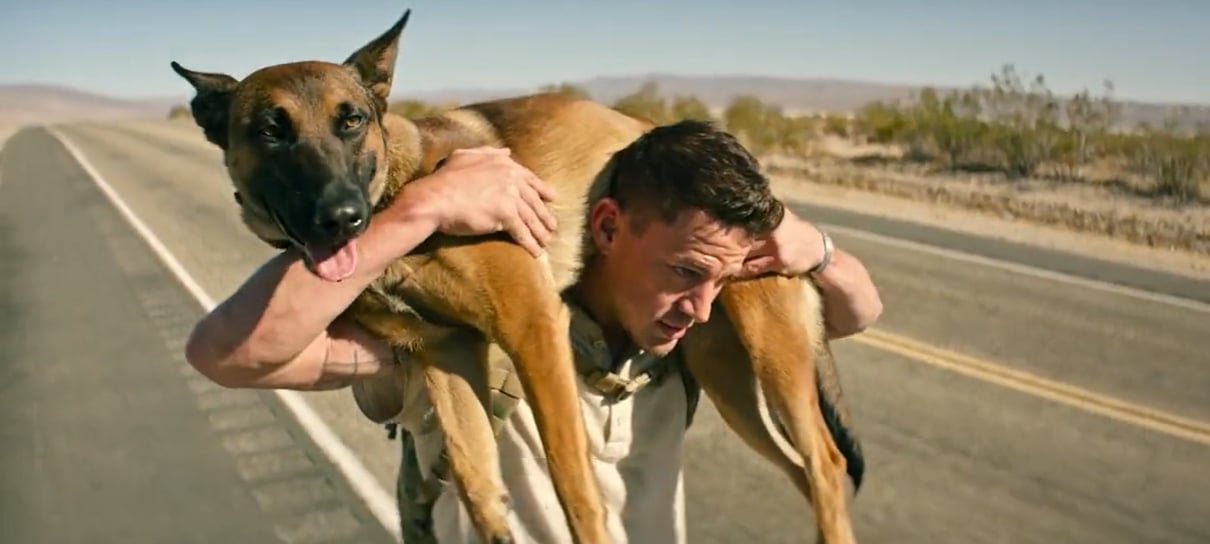 Um cachorro faz gato e sapato de Channing Tatum no trailer de Dog