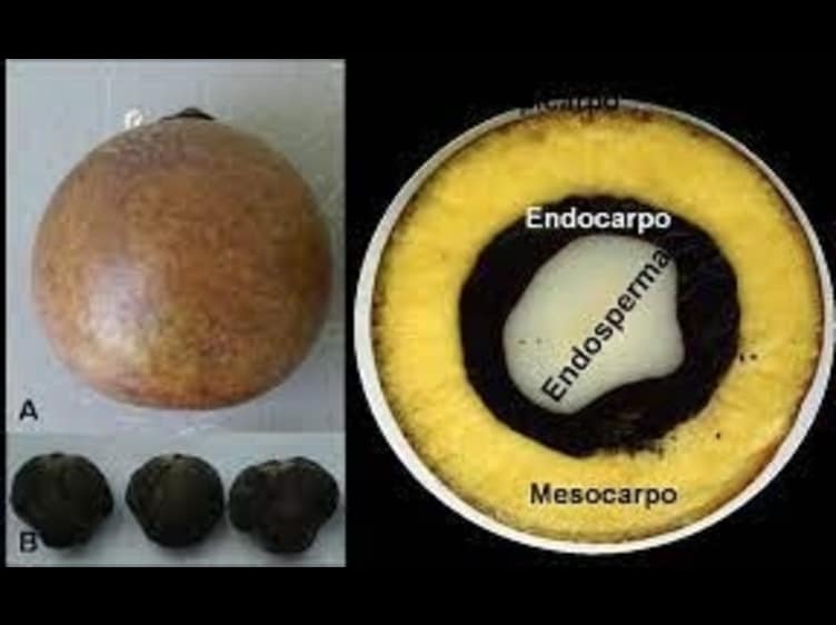 Imagem do episódio