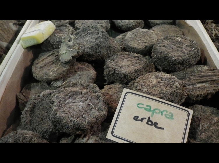 Imagem do episódio