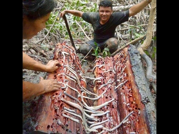 Imagem do episódio