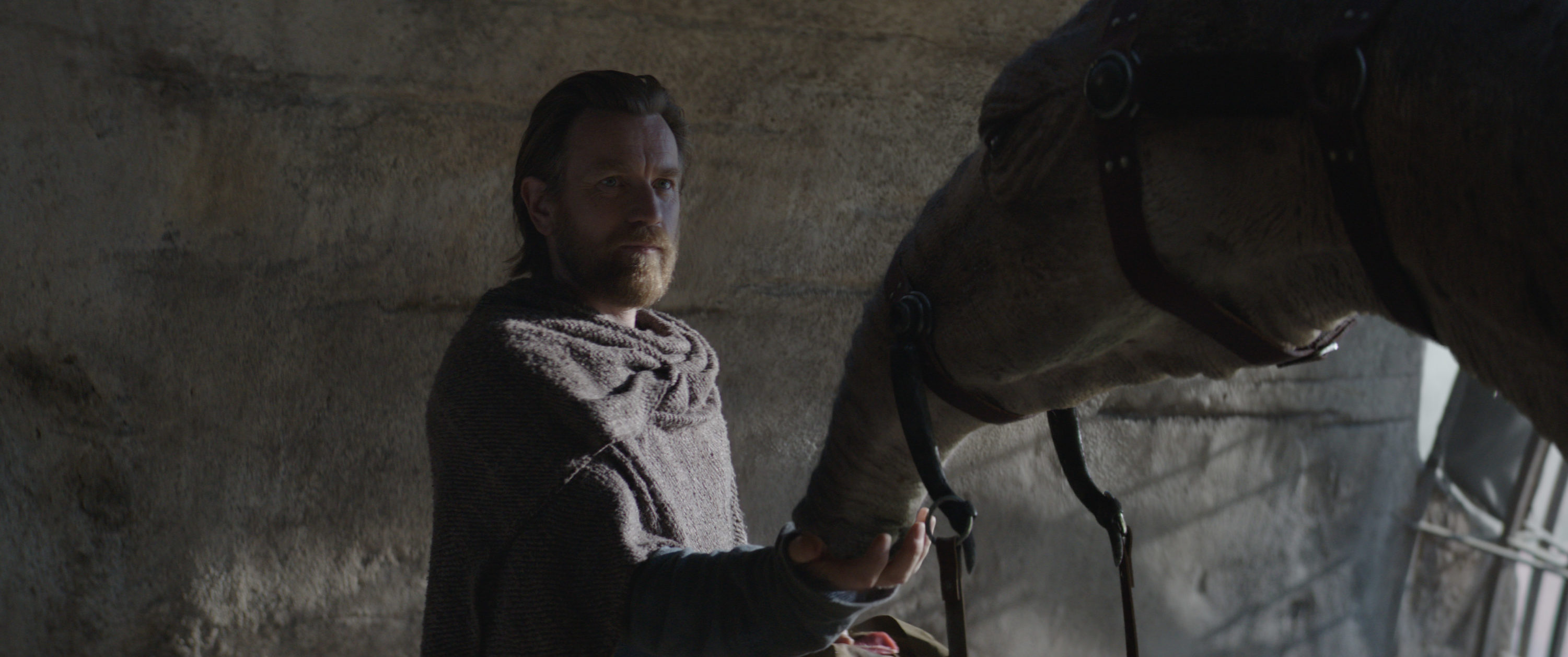 Obi-Wan Kenobi (Ewan McGregor) with an eopie in a scene from Lucasfilm's OBI-WAN KENOBI, exclusively on Disney+. © 2022 Lucasfilm Ltd. &amp; ™. All Rights Reserved.