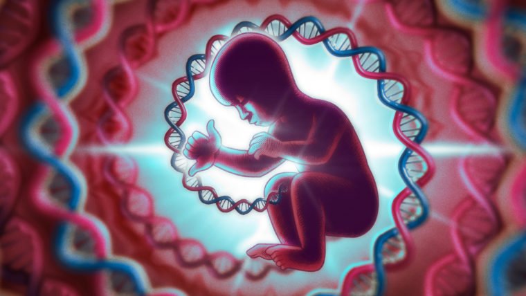 DNA e o Milagre dos dois polegares opositores