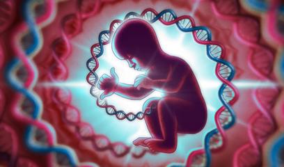 DNA e o Milagre dos dois polegares opositores
