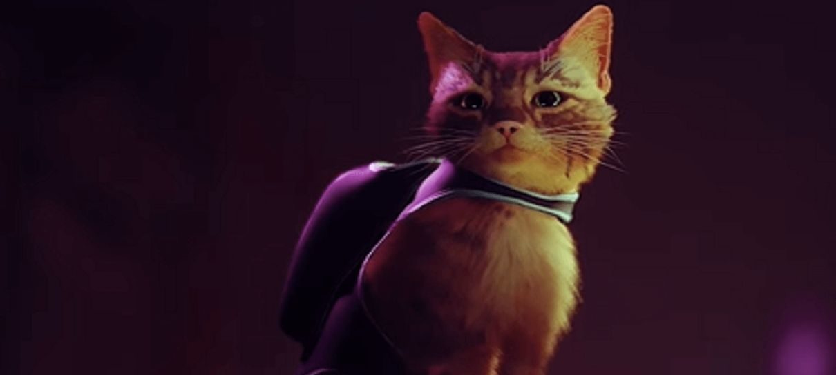 Novo jogo do gatinho laranja 'Stray' ajuda gatos na vida real