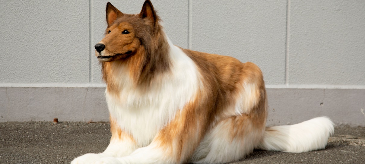 Homem gasta 2 milhões de ienes para realizar sonho de se fantasiar de cachorro