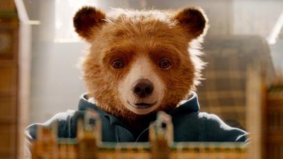 Terceiro filme do ursinho, Paddington in Peru tem novo diretor e será filmado em 2023