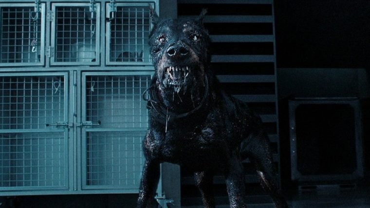 Cachorro do capeta e novo Wesker aparecem em fotos de Resident Evil: A Série