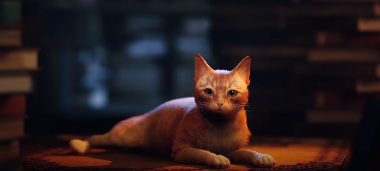 Stray, o “jogo do gato”, será lançado em julho; veja novo trailer