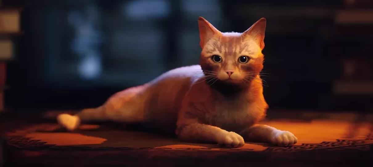 Estúdios parabenizam lançamento de Stray com fotos de gatinhos