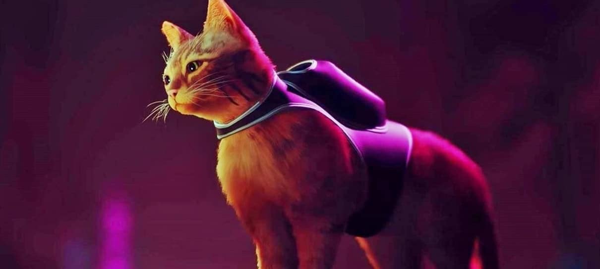 Stray, o jogo do gato, supera The Day Before e se torna o mais aguardado do Steam