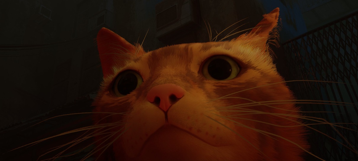 Stray já é o maior lançamento da Annapurna no PC, diz analista