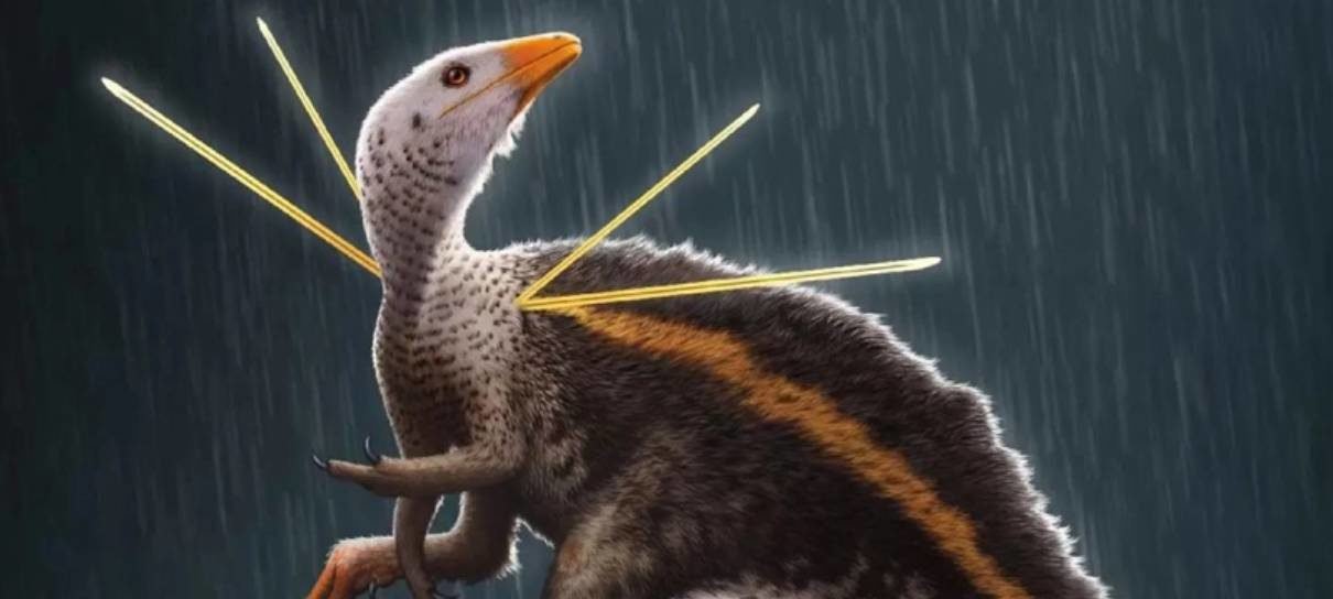 Fóssil Ubirajara jubatus voltará ao Brasil após ser retirado do Ceará