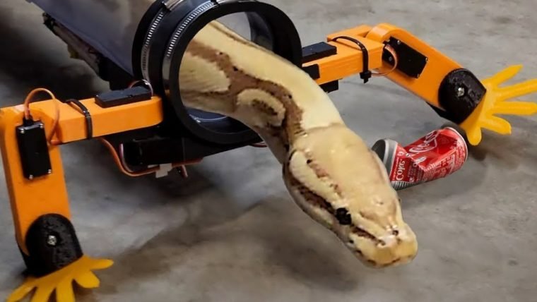 Se Deus não dá asa a cobra, esse YouTuber deu pernas robóticas
