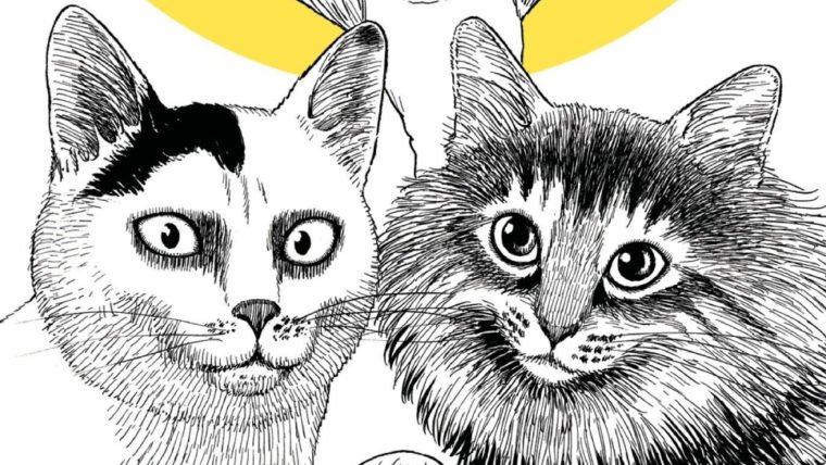 Mangá de comédia de Junji Ito sobre a vida com gatos será lançado no Brasil pela JBC