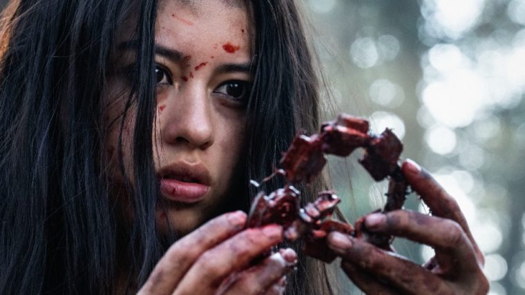 Diretor de O Predador: A Caçada fala sobre possível sequência do filme