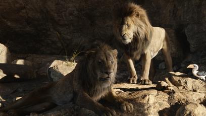 Mufasa: Barry Jenkins revela detalhes sobre o prelúdio de O Rei Leão
