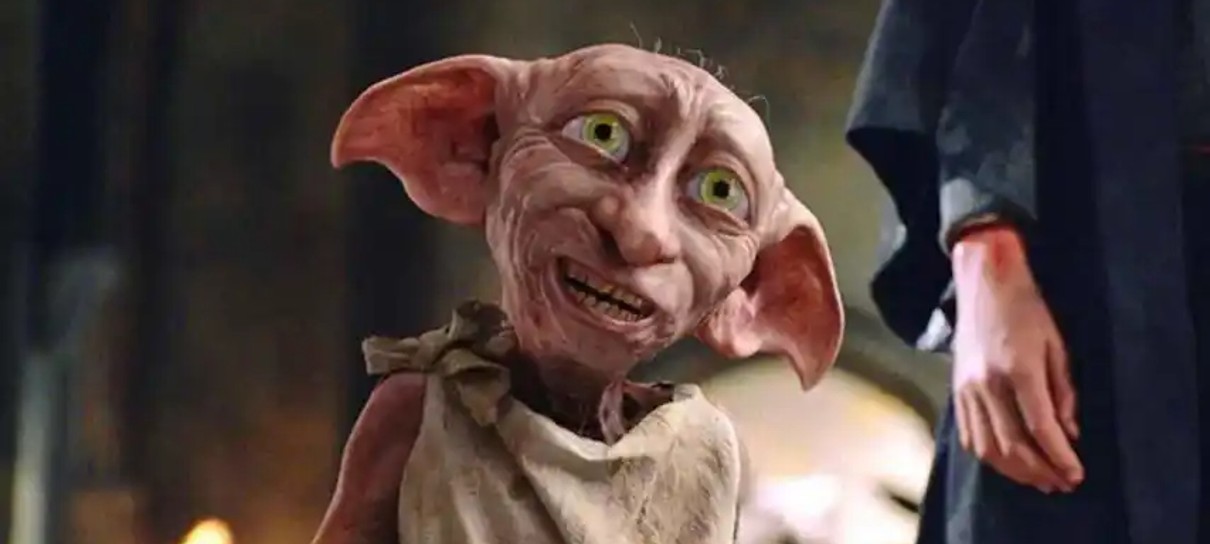 País de Gales pede que fãs de Harry Potter parem de deixar meias no "túmulo" de Dobby