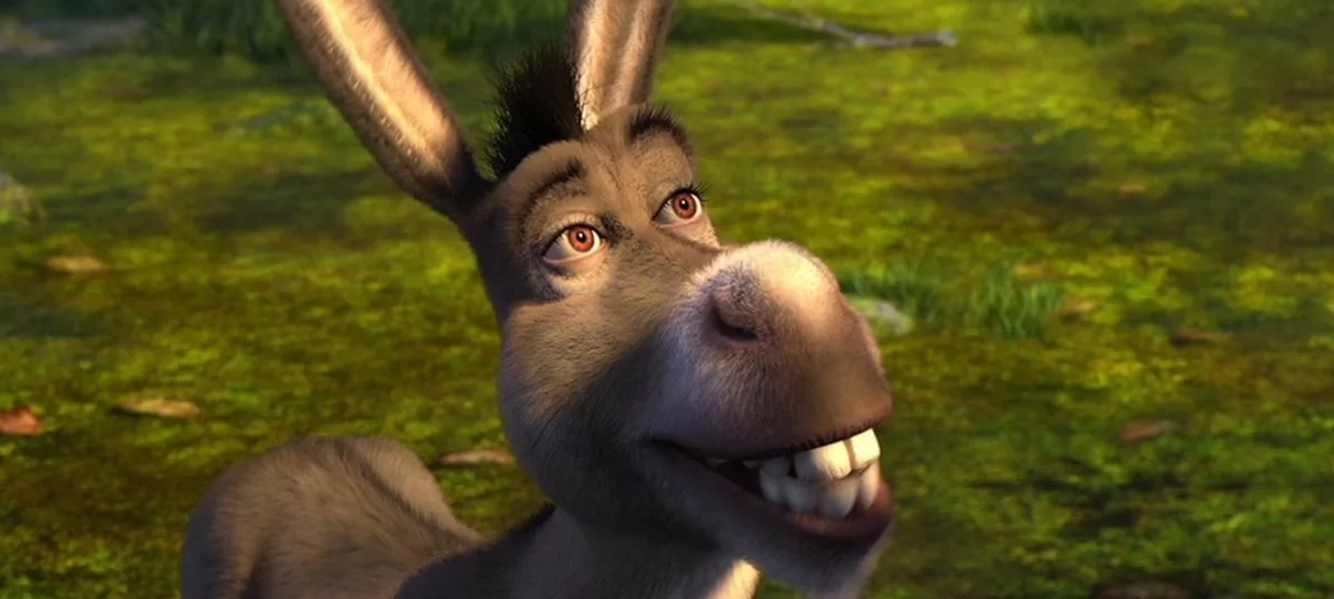 Burro do shrek Conservador