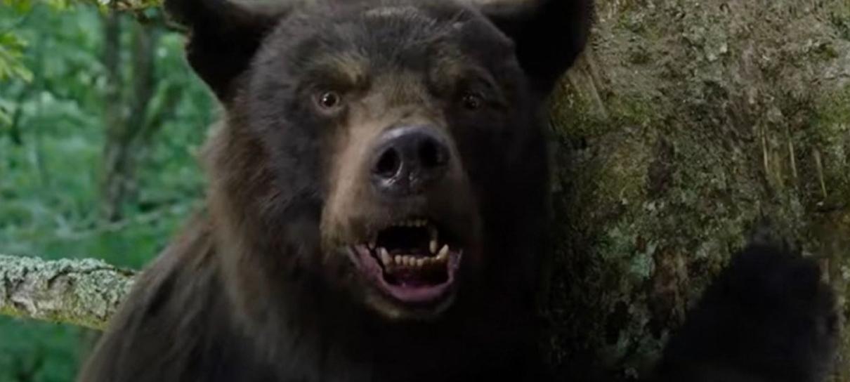 O Urso do Pó Branco persegue ambulância em teaser especial