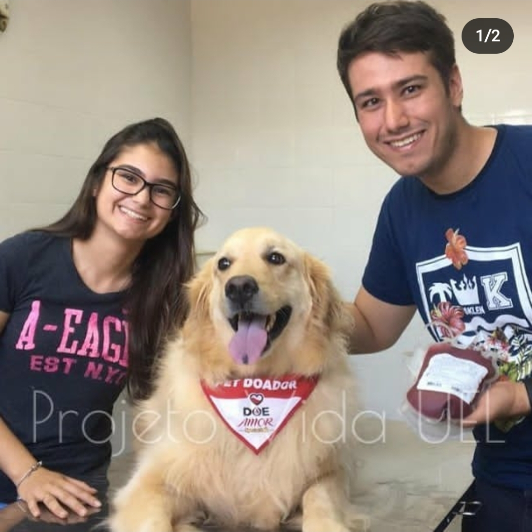 Ana Silvia Mendes - cachorro Dobby