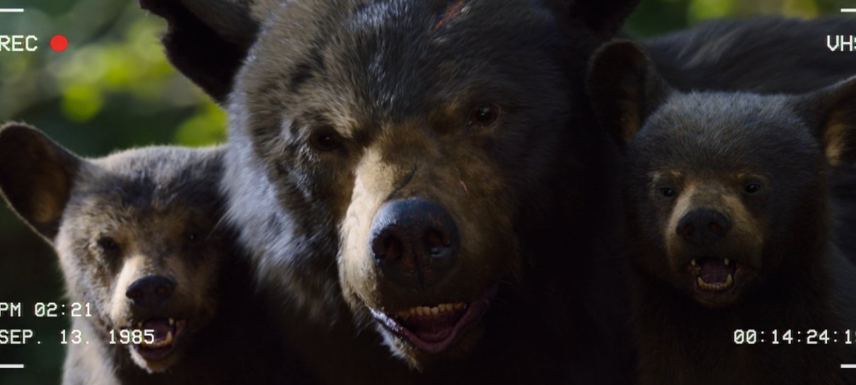 O Urso do Pó Branco” e mais estreias no Cinemark