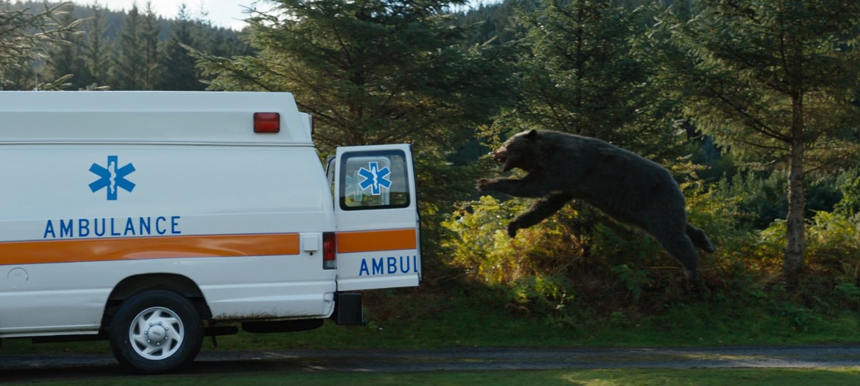 O URSO DO PÓ BRANCO - O MAIOR FILME DE URSO CHEIRAD0 DA HISTÓRIA