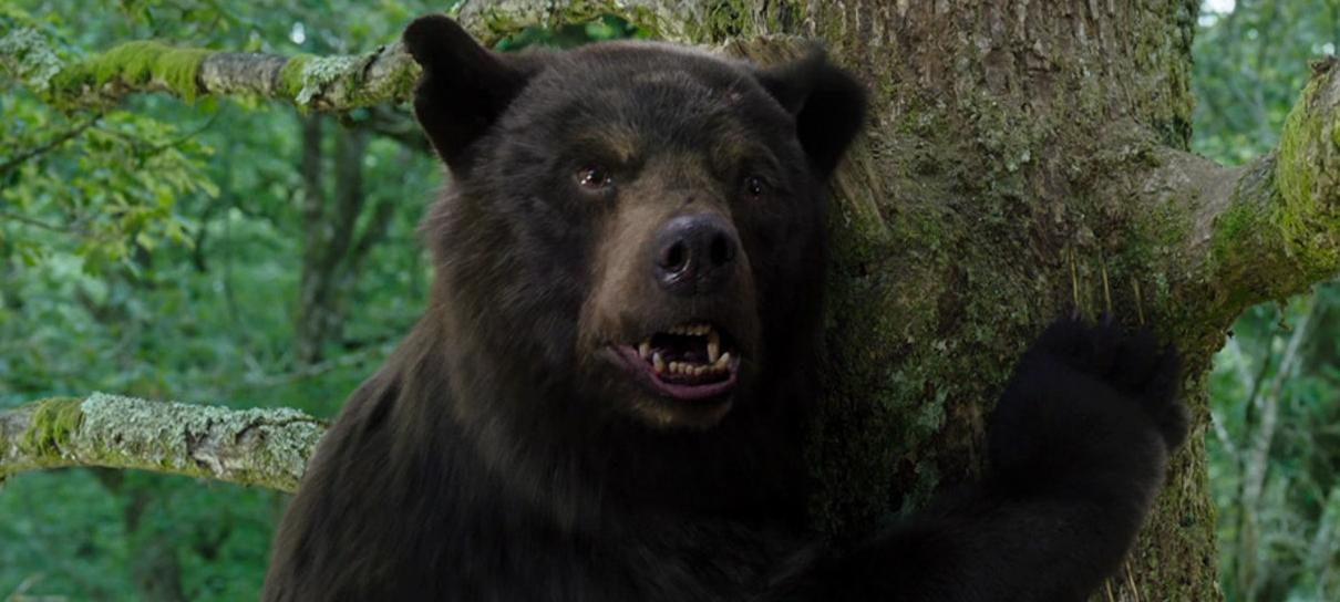 O Urso do Pó Branco mostra um urso cocainômano