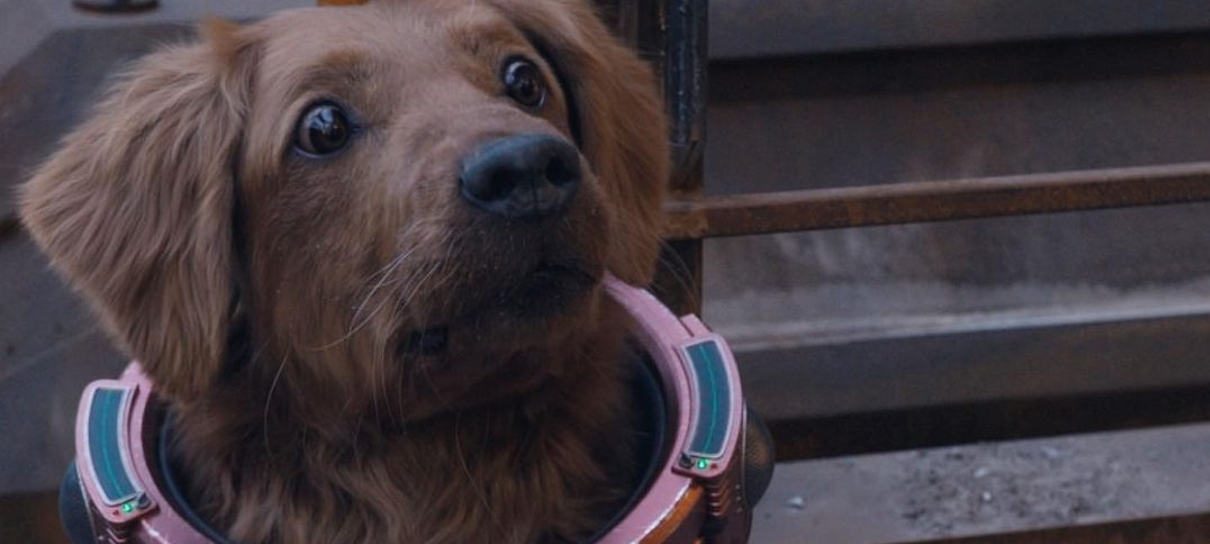 James Gunn divulga foto do cachorro Cosmo, de Guardiões da Galáxia 3