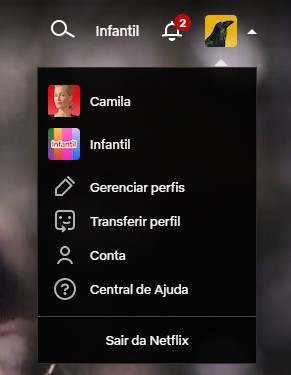 Como CANCELAR ASSINATURA DE UM PERFIL EXTRA no NETFLIX! 