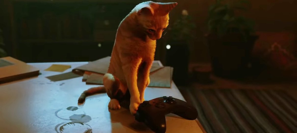 Stray traz sua aventura repleta de felinos ao Xbox em agosto - Adrenaline