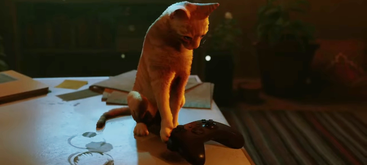 Stray ganha data para chegar ao Xbox em trailer tipicamente felino
