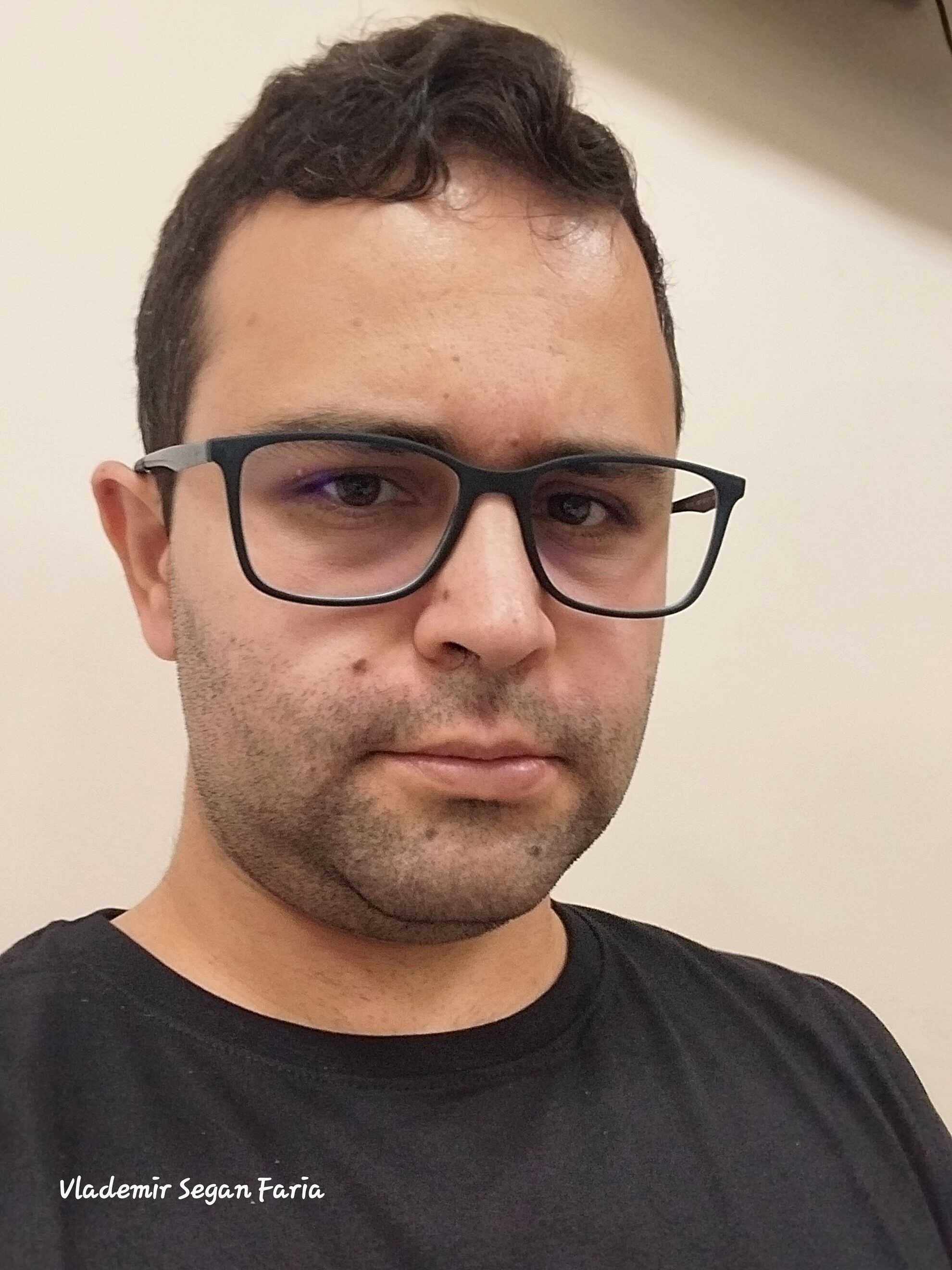 Vlademir Segan Faria