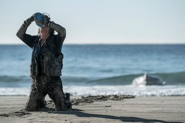 The Walking Dead': Daryl e Carol vão descobrir novos propósitos em sua série  derivada - CinePOP