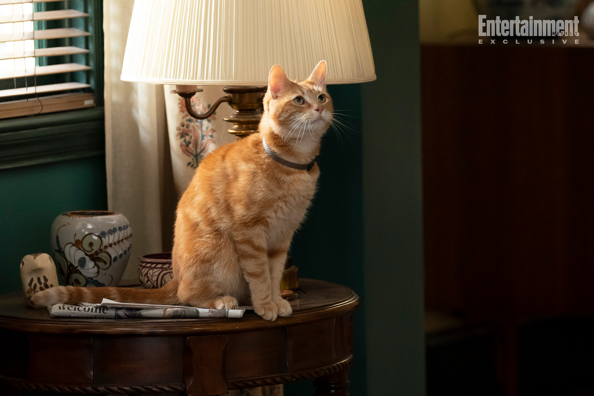 Goose the Flerken in Marvel Studios' THE MARVELS. Photo by Laura Radford. © 2023 MARVEL.