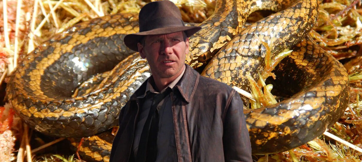 Indiana Jones 5: ator de 16 anos conta experiência com Harrison Ford