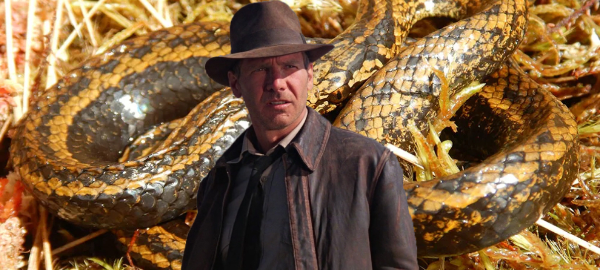 Espécie de cobra é nomeada em homenagem a Harrison Ford e astro responde
