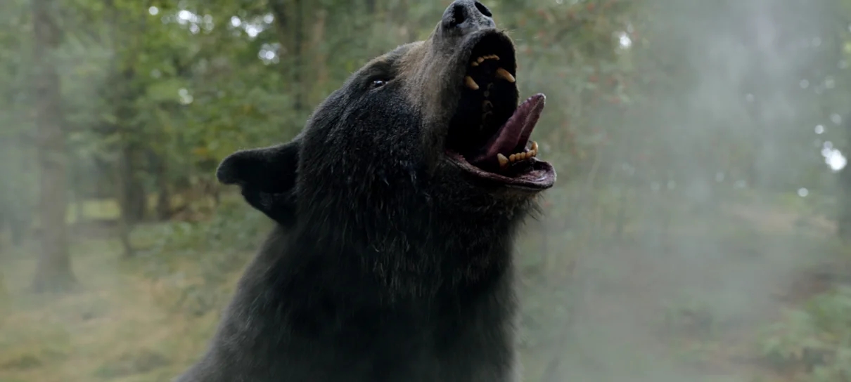 Elizabeth Banks toparia fazer uma sequência de O Urso do Pó Branco