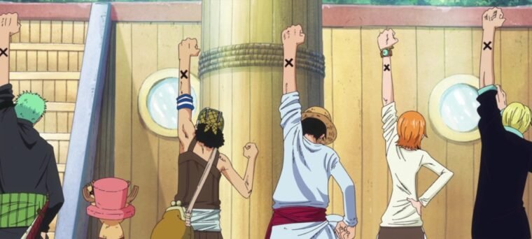 One Piece: Guia de temporadas - AdoroCinema